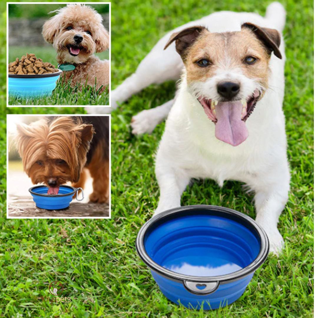 Gamelle chien - AquaDOG™