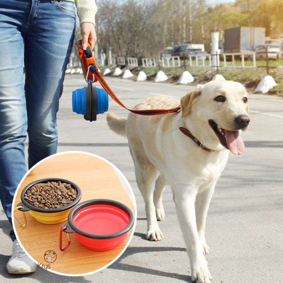 Gamelle chien - AquaDOG™