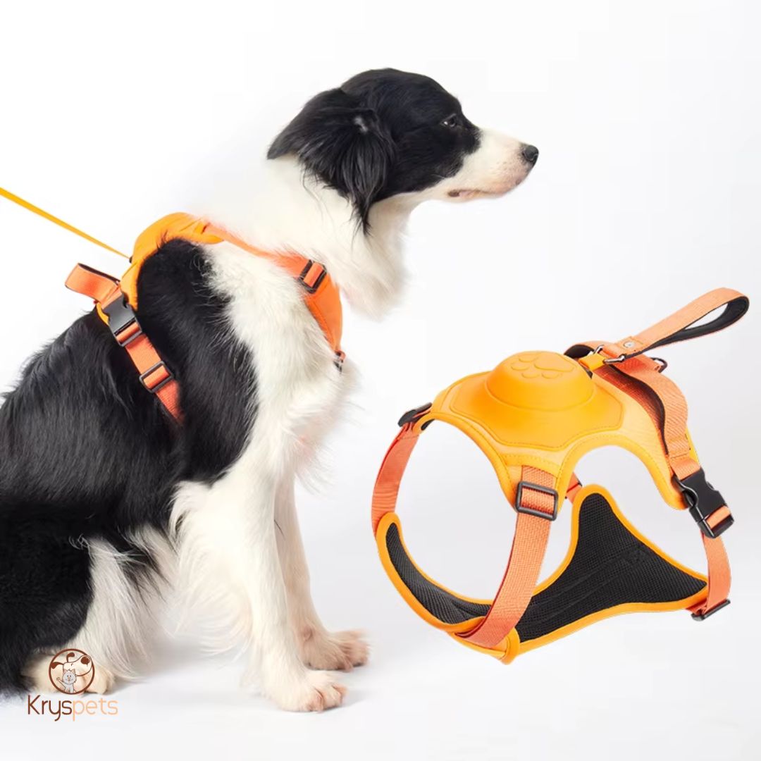 Harnais anti traction chien avec Laisse Intégrée - HarnyLAISSE™