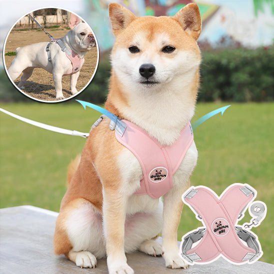 Harnais anti traction chien -XPets™