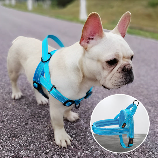 Harnais anti traction chien- KrysWINTERâą