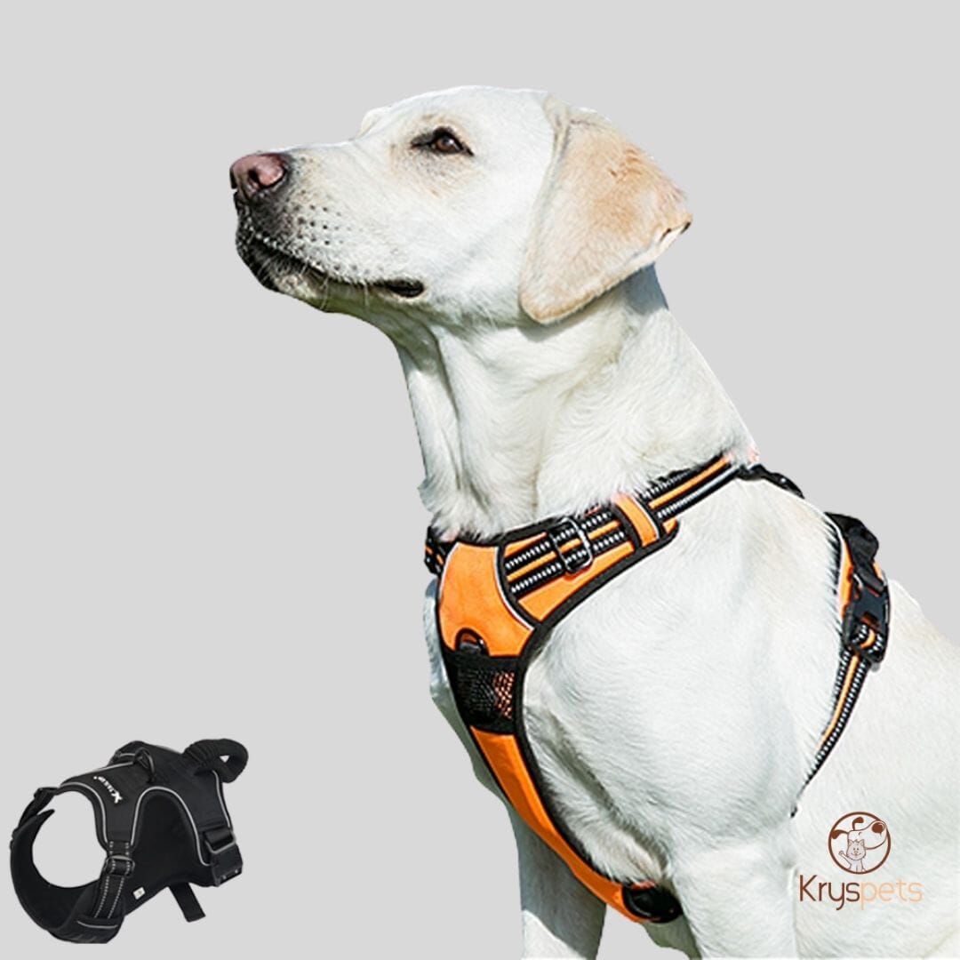 Harnais anti traction chien - HarnyDOGâą