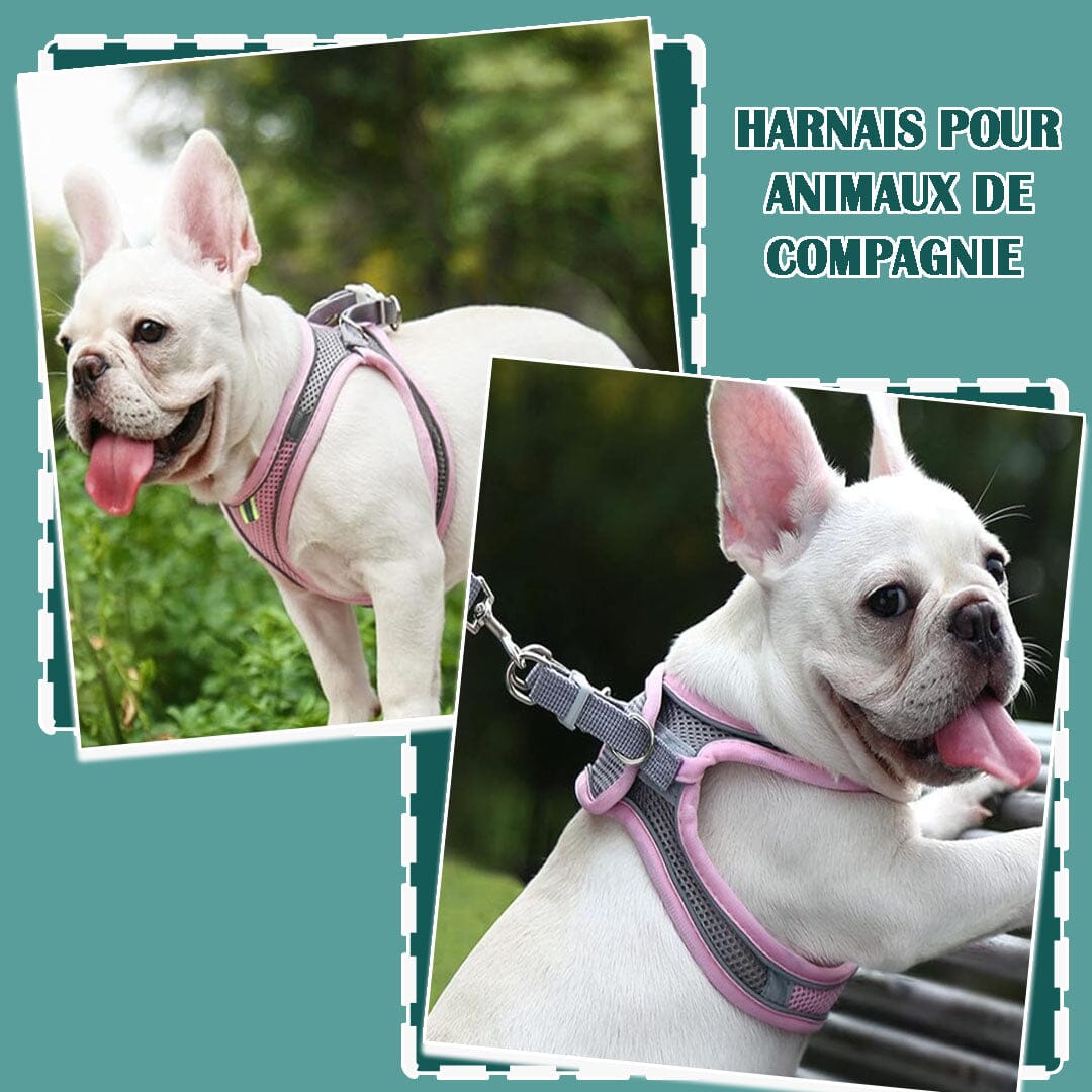Harnais anti traction chien - MiniPETS™