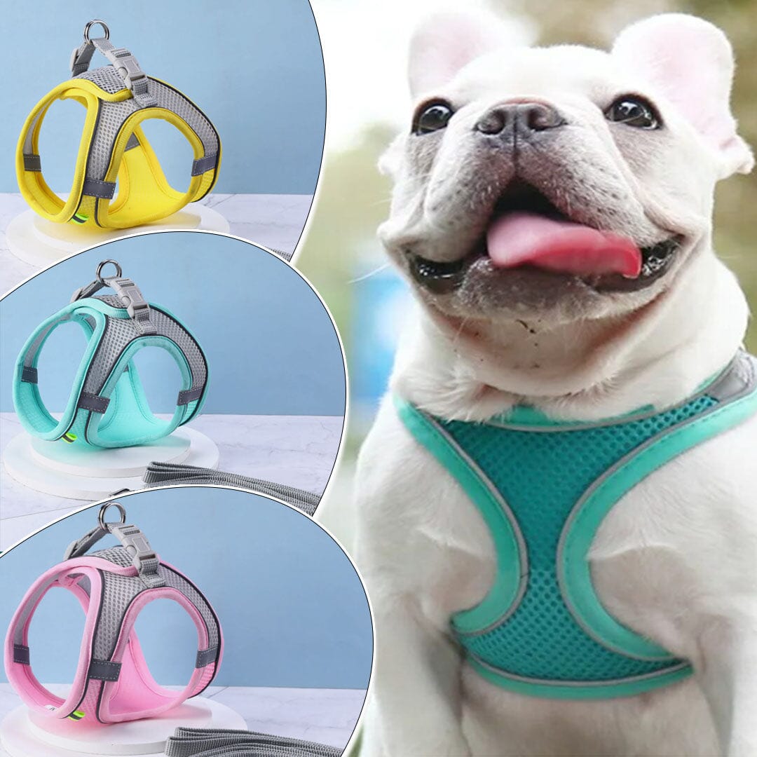Harnais anti traction chien - MiniPETS™