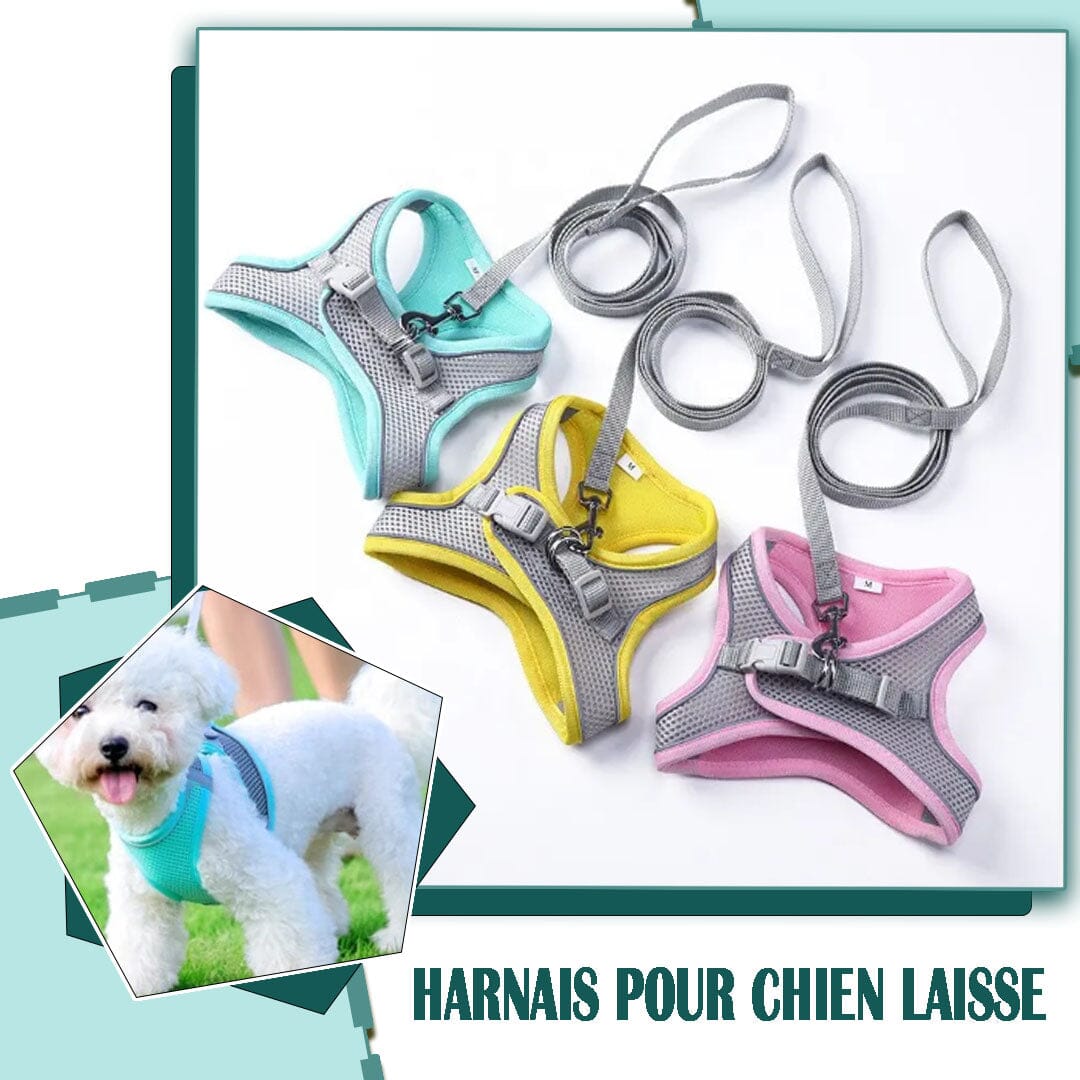 Harnais anti traction chien - MiniPETS™