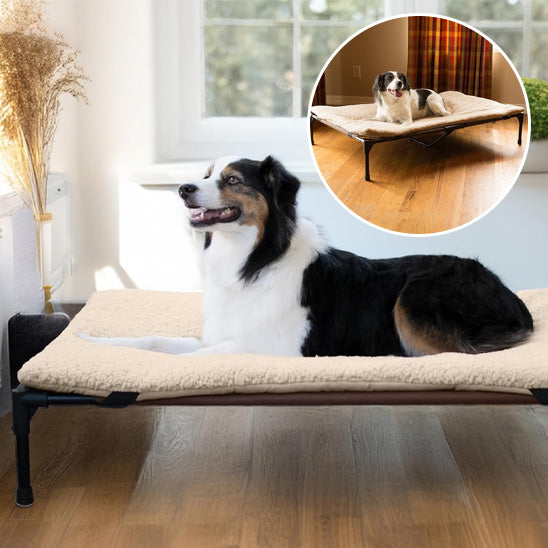 Lit pour chien - BedDOG™