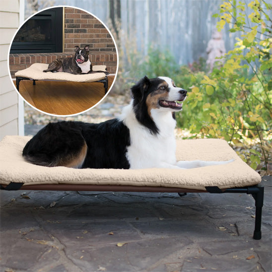 Lit pour chien - BedDOG™