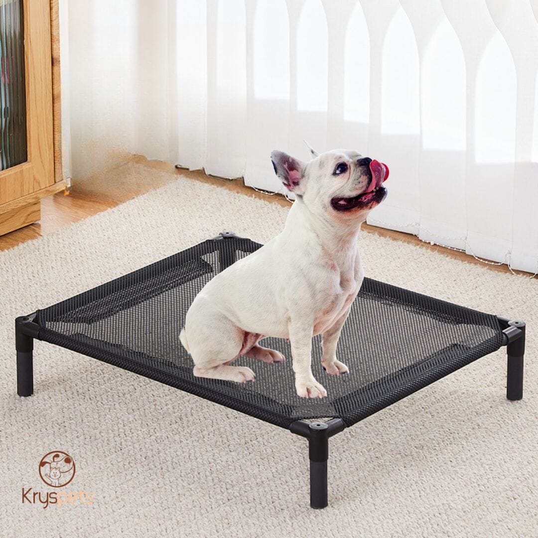 Lit pour chien - BedDOG™
