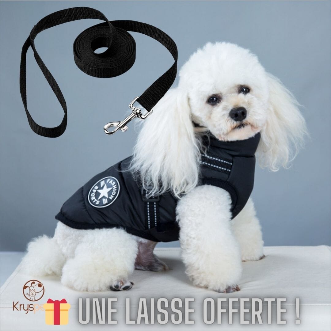 Manteau chien - PETSY™