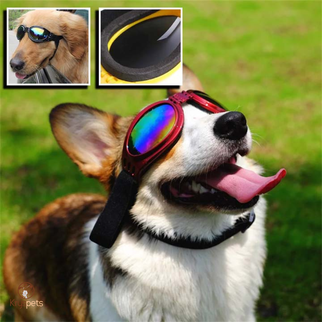 Lunette pour chien - KrysSOLEIL™