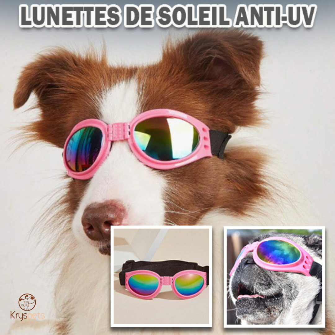 Lunette pour chien - KrysSOLEIL™