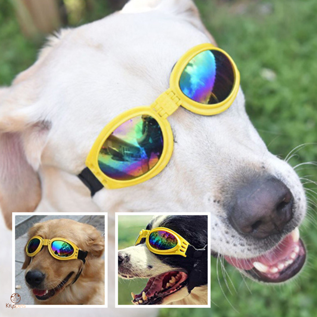 Lunette pour chien - KrysSOLEIL™