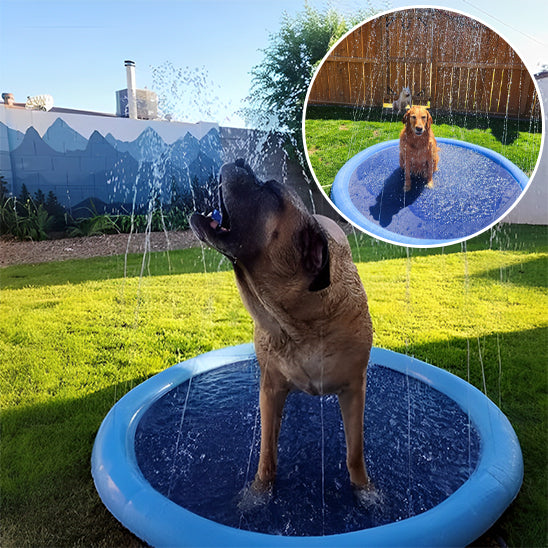 Piscine pour chien - KrysPOOL™