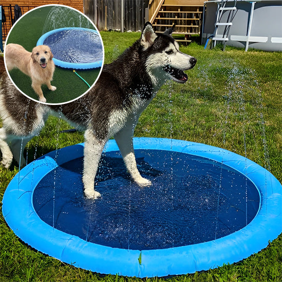 Piscine pour chien - KrysPOOL™