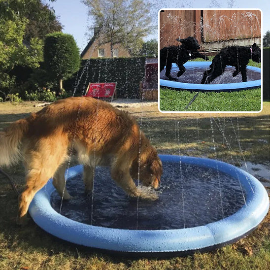 Piscine pour chien - KrysPOOL™
