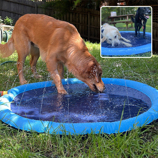 Piscine pour chien - KrysPOOL™