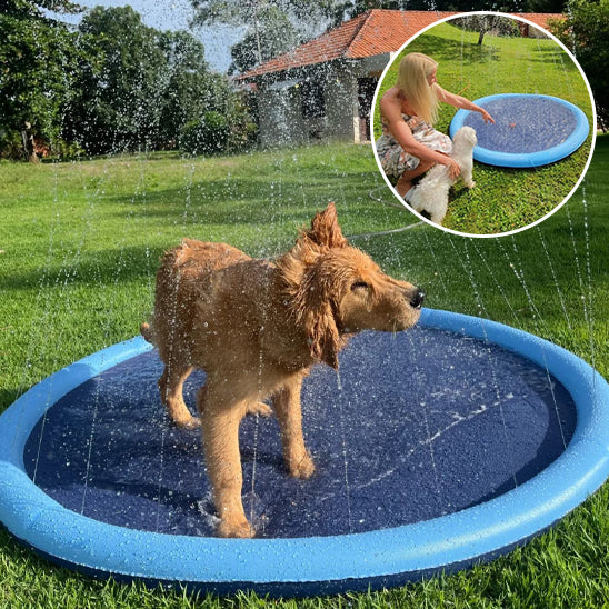 Piscine pour chien - KrysPOOL™