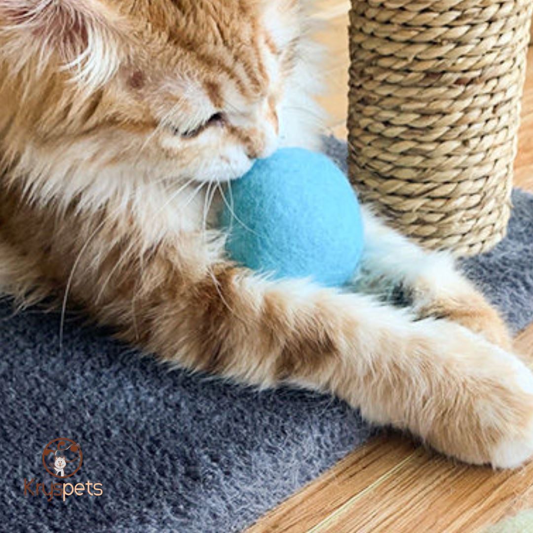 Jouet boule pour chat - Boule interactive KATBOULE™ - Kryspet's