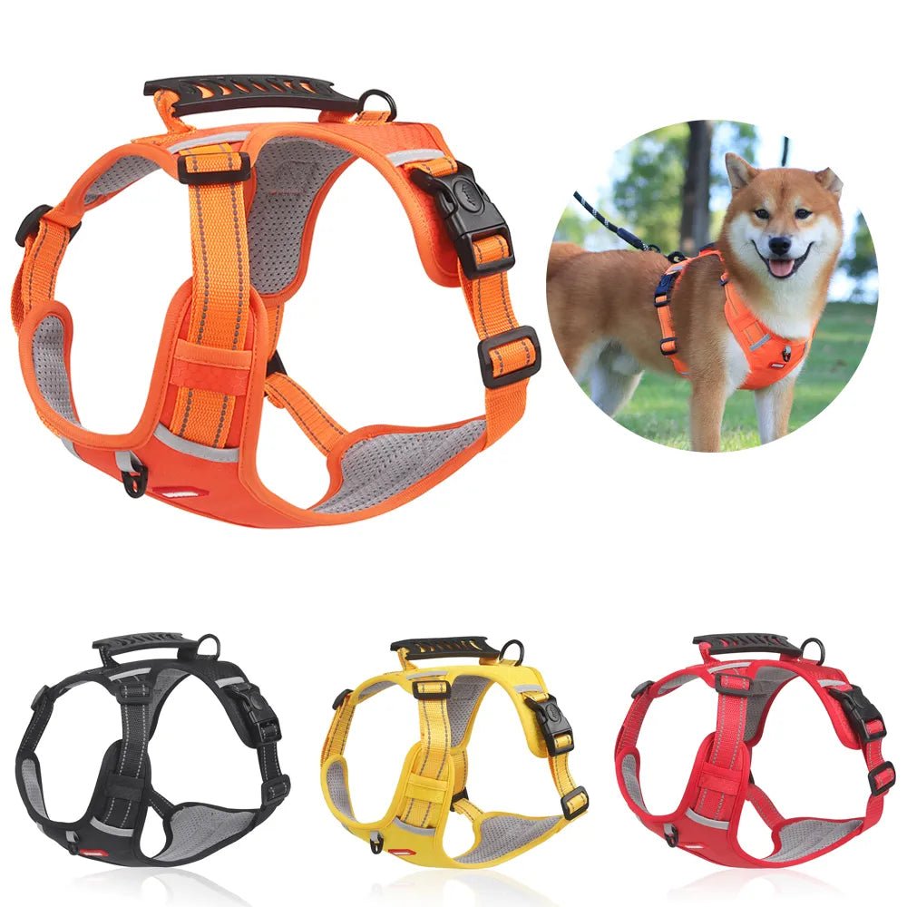 Harnais chien anti traction - KrysHARNESS™