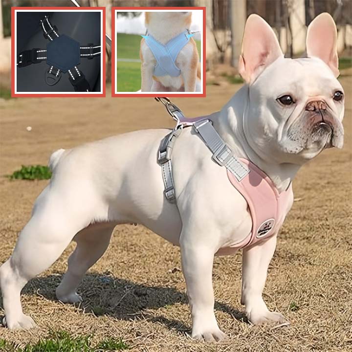 Harnais anti traction chien -XPets™