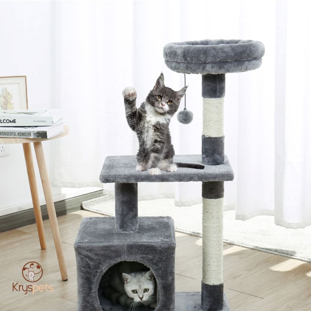 Arbre a chat - ARBRACHAT™