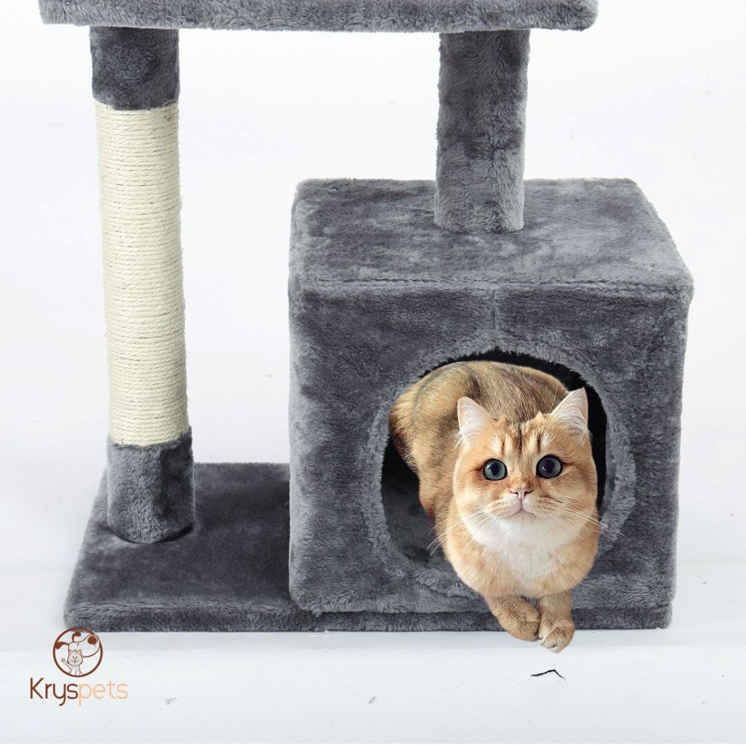 Arbre a chat - ARBRACHAT™
