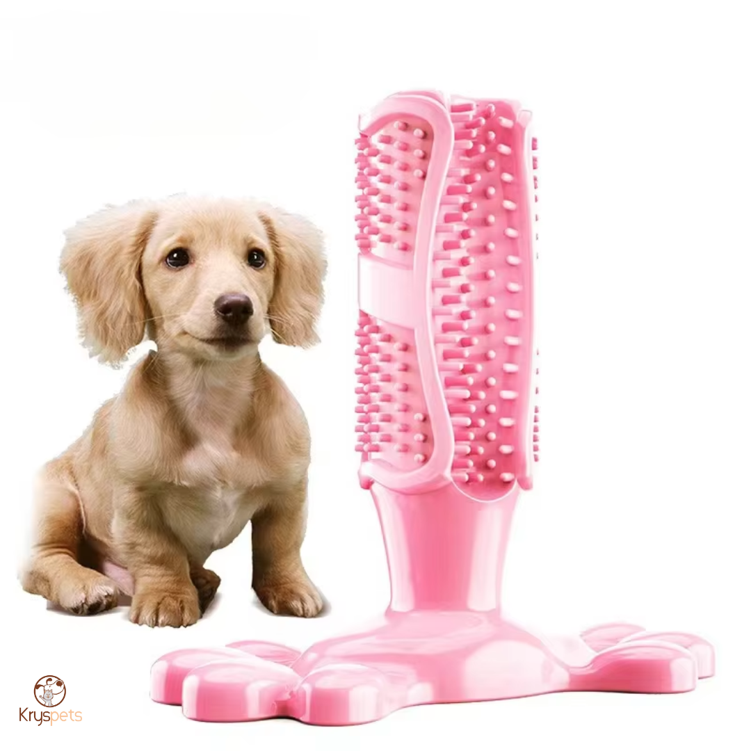 Brosse a dent chien - KrysDENTAIRE™