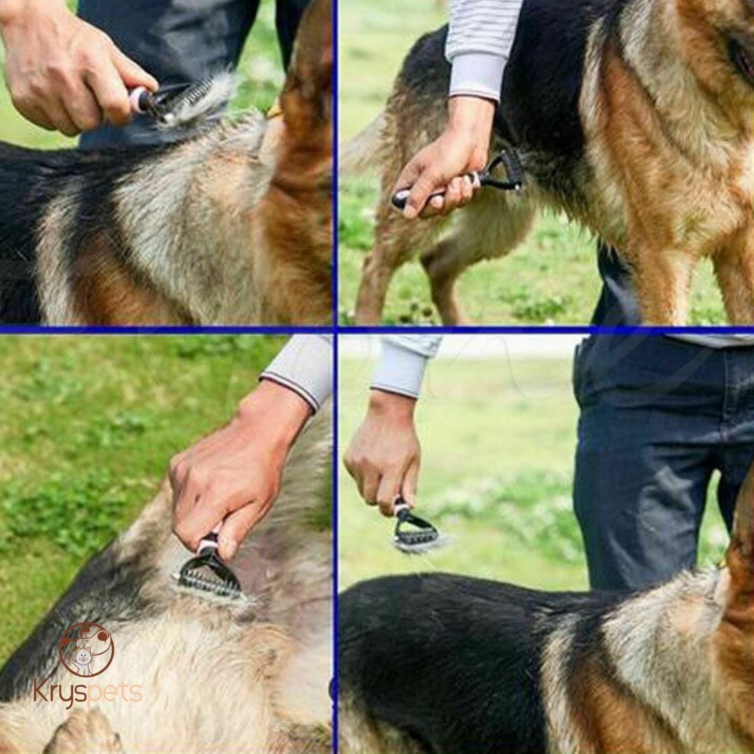 brosse pour chien