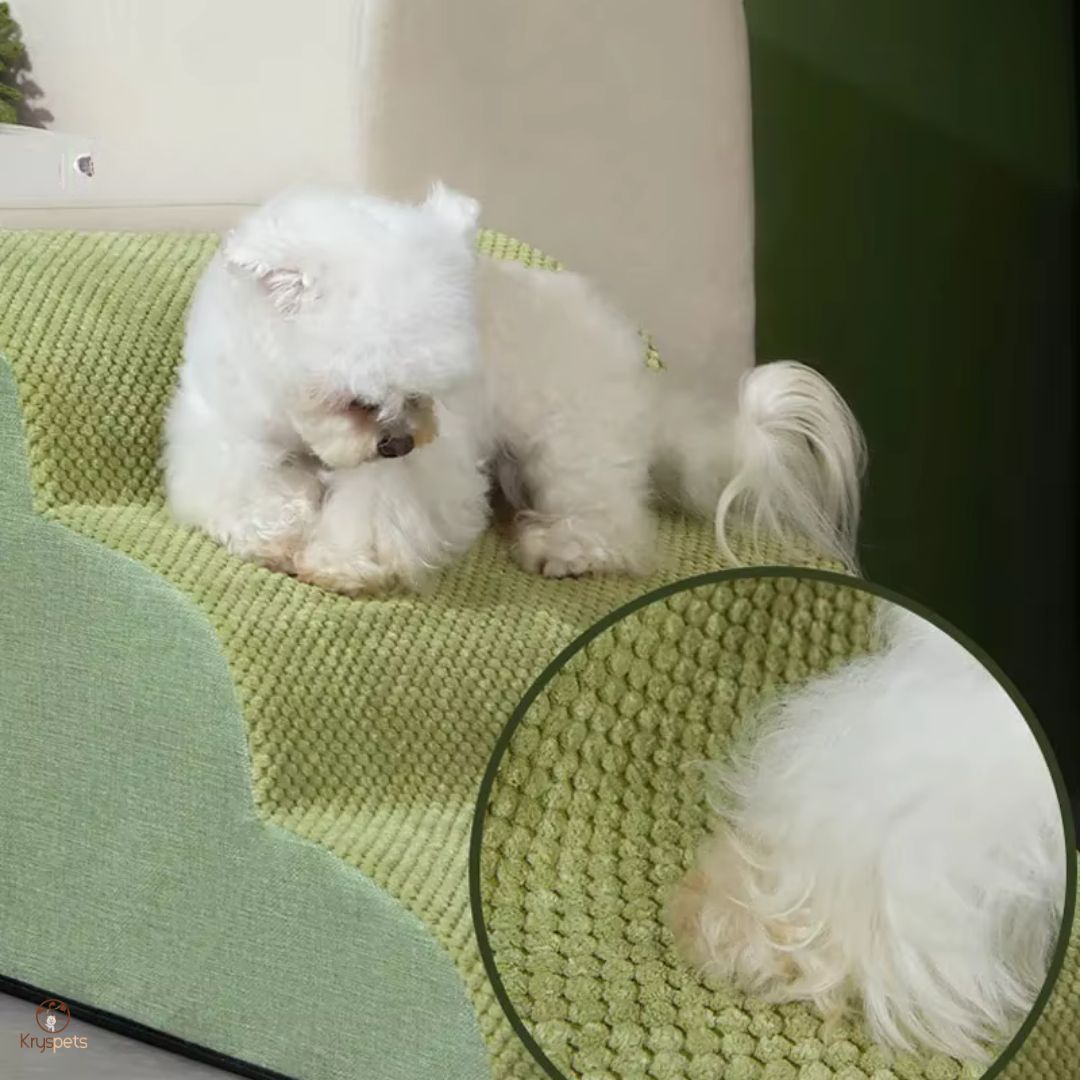 Escalier pour chien - Esca'Pattes™