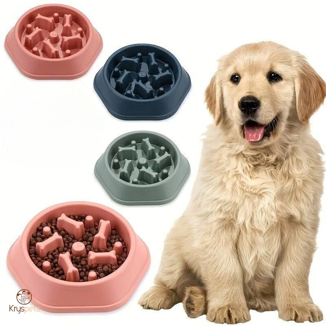 Gamelle anti glouton - KrysGLOUTON™