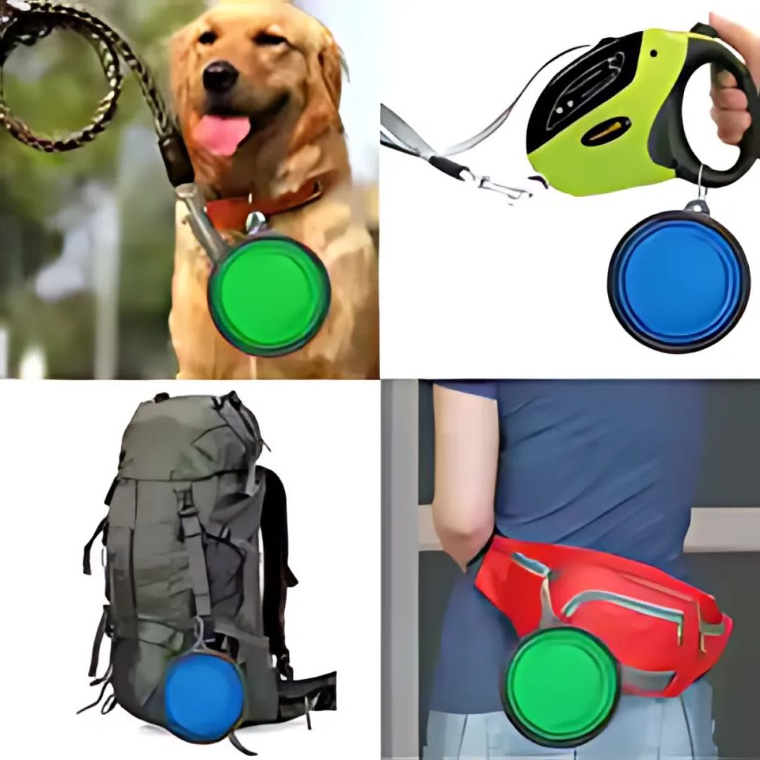 Gamelle chien - AquaDOG™