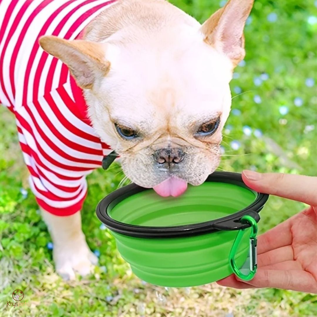 Gamelle chien - AquaDOG™