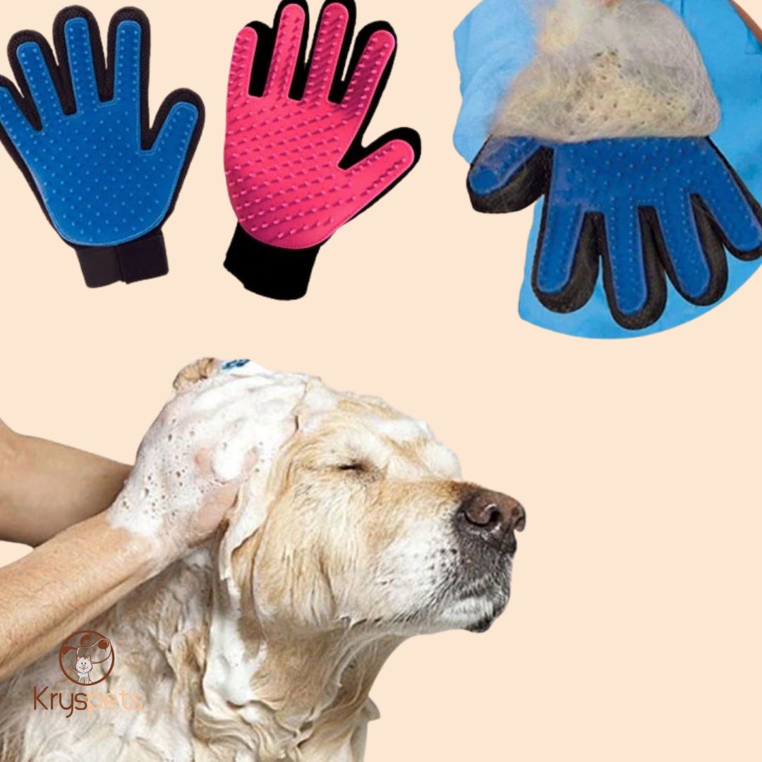 Gants de toilettage chien