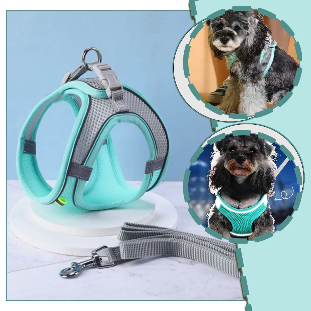 Harnais anti traction chien - MiniPETS™
