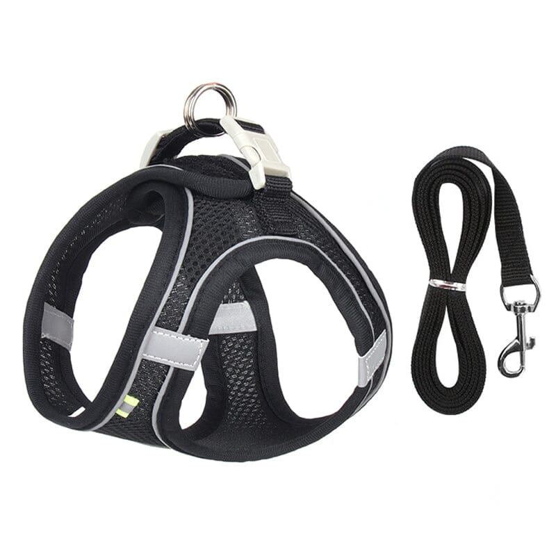 Harnais anti traction chien - MiniPETS™