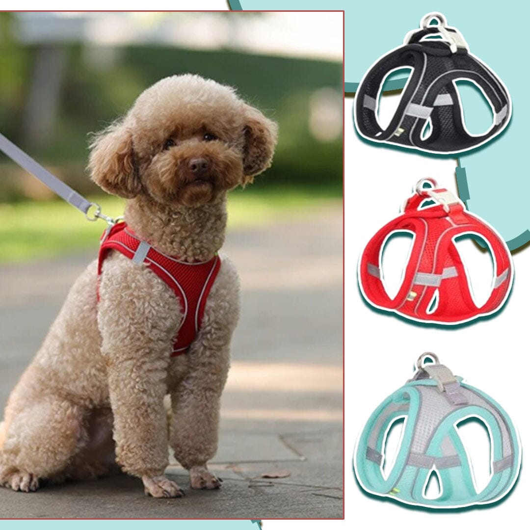 Harnais anti traction chien - MiniPETS™