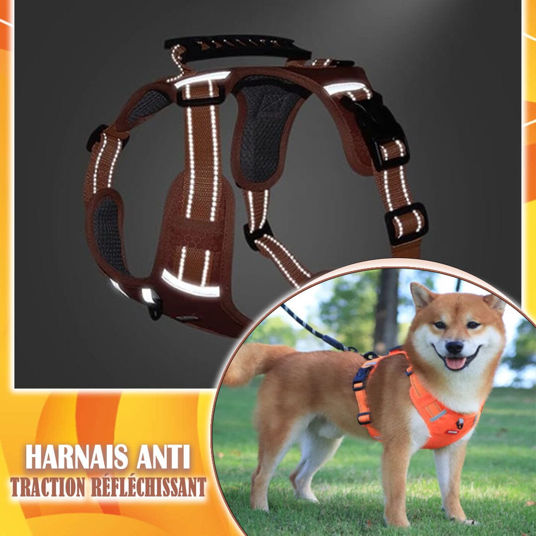 Harnais chien anti traction - KrysHARNESS™