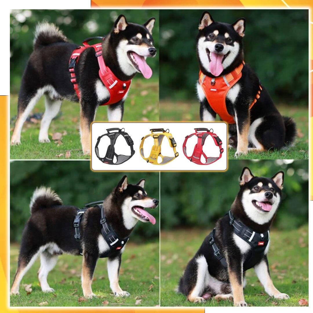 Harnais chien anti traction - KrysHARNESS™