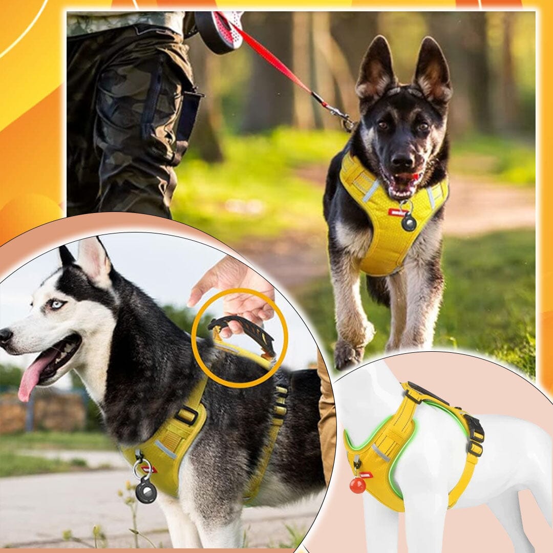 Harnais chien anti traction - KrysHARNESS™