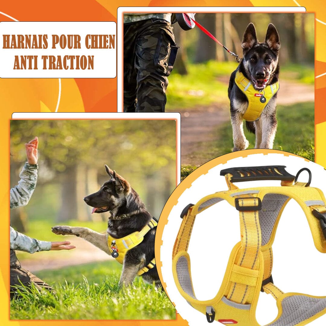 Harnais chien anti traction - KrysHARNESS™