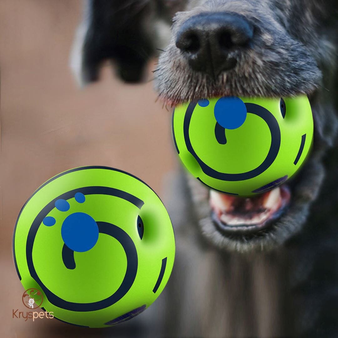 Balle pour chien - KrysBALLE™