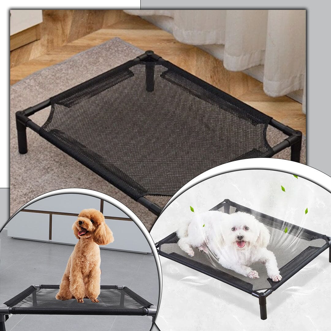Lit pour chien - BedDOG™