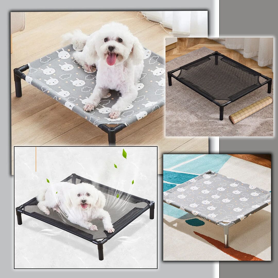 Lit pour chien - BedDOG™