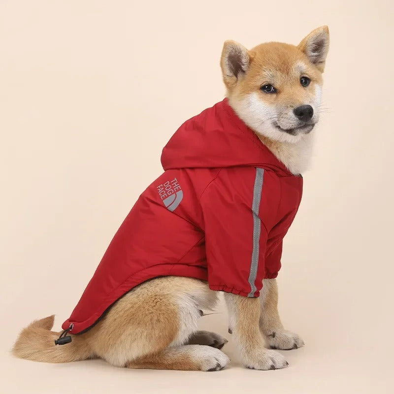 Manteau chien Automne/Hiver