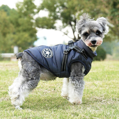 Manteau chien - PETSY™