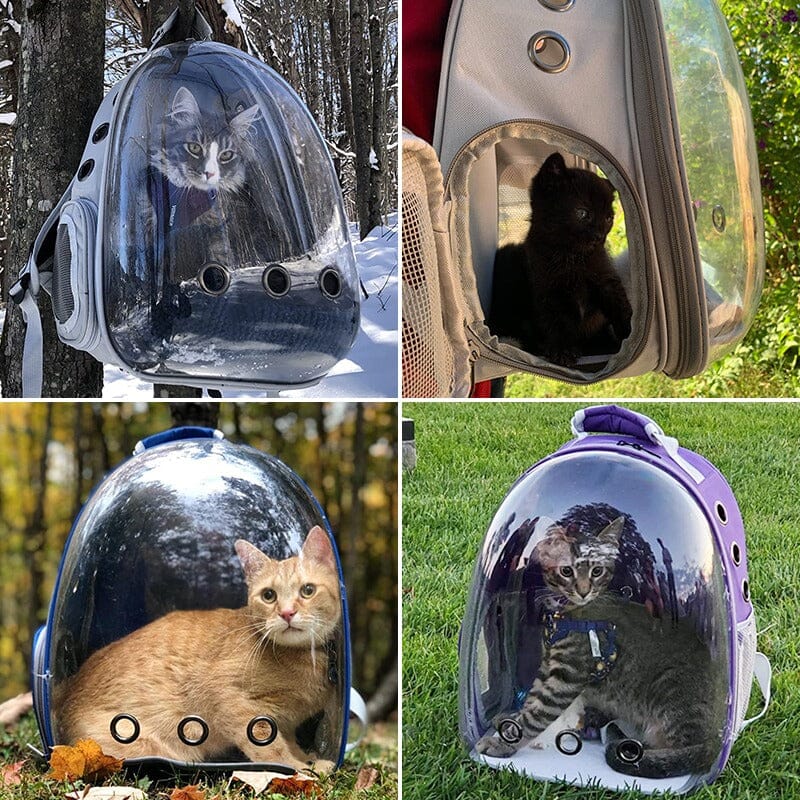 Sac à dos chat - SACADO™