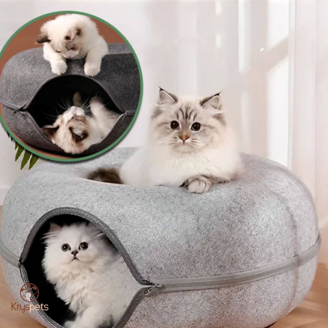 Tunnel pour chat- Krystunnel™