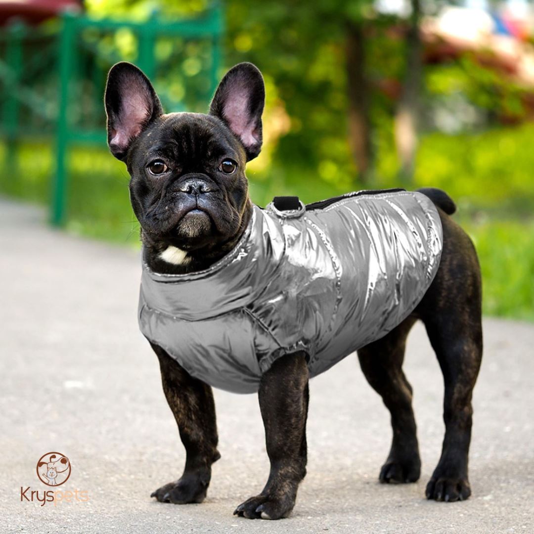 Veste chaude imperméable pour petit chien - KRYSJACKETTE™ - Kryspet's