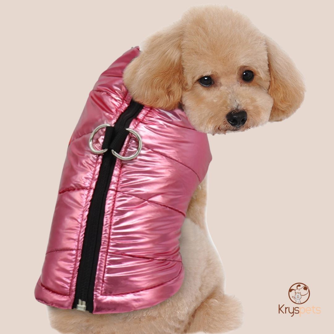 Veste chaude imperméable pour petit chien - KRYSJACKETTE™ - Kryspet's