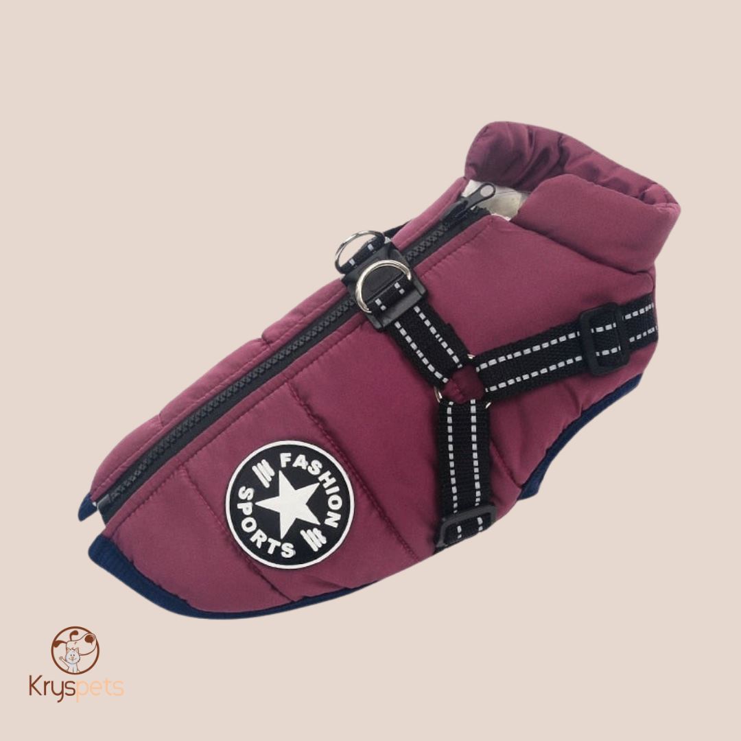 Manteau pour chien - PETSY™ - Kryspet's